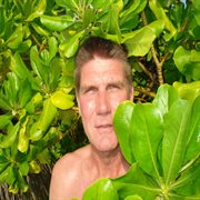 Frontier cover image cdn