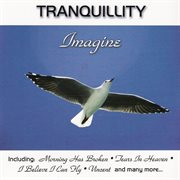 Imagine cover image cdn