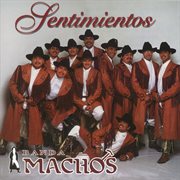 Sentimientos cover image cdn