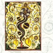 I feel alright cover image cdn