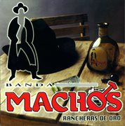 Rancheras de oro cover image cdn