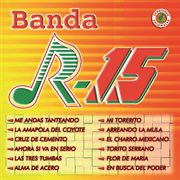 Arreando la mula cover image cdn