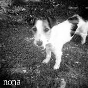 Split ep with nona & crow bait cover image cdn