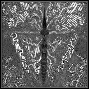 Decomposition fantasy cover image cdn