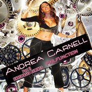 Malfunction - part 2 unreleased remixes cover image cdn