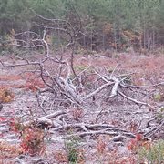 Necessary evil cover image cdn