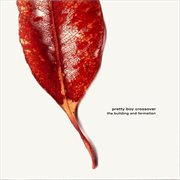 The building and formation cover image cdn