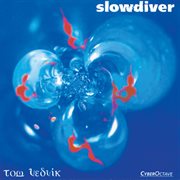 Slowdiver cover image cdn