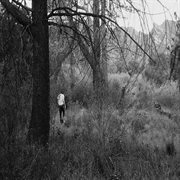 Enshrined cover image cdn