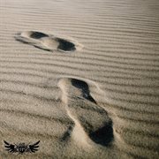 Seal cover image cdn