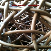 Go@night5 cover image cdn