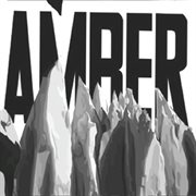 Amber cover image cdn
