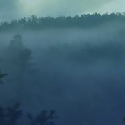 E l e m e n t a l cover image cdn