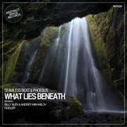 What lies beneath cover image cdn