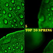 Top 20 spring, vol. 5 cover image cdn