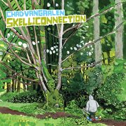 Skelliconnection cover image cdn
