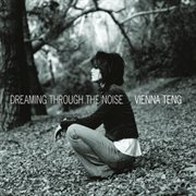 Dreaming through the noise cover image cdn
