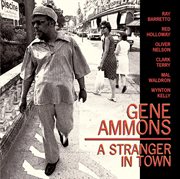 A stranger in town cover image cdn