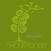 Amygdala cover image cdn