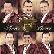 Amor amor cover image cdn