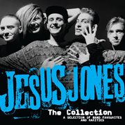 The collection cover image cdn