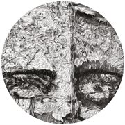 Bring down the walls cover image cdn