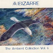 Ambient collection vol. 6 cover image cdn