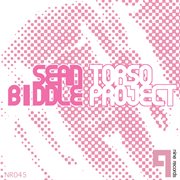 Torso project cover image cdn