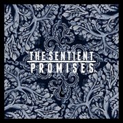 Promises cover image cdn