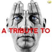 Baby boy - a tribute to big brovaz cover image cdn