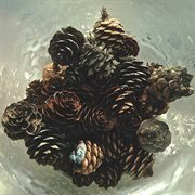 Transport cover image cdn