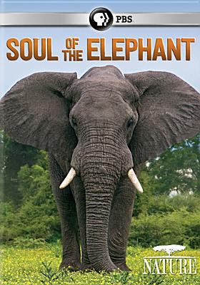 Soul of the elephant cover image cdn