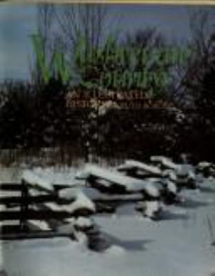 Des Moines and Polk County : flag on the prairie cover image