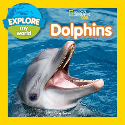 Dolphins  cover image cdn