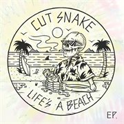 Life's a beach cover image cdn