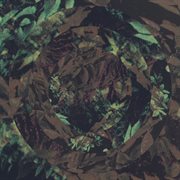 Treehut visions cover image cdn