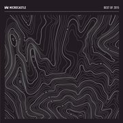 Best of microcastle 2015 cover image cdn