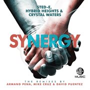 Synergy (the remixes) cover image cdn