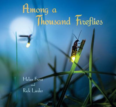 Among a thousand fireflies  cover image cdn