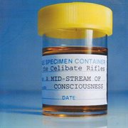 A mid-stream of consciousness cover image cdn