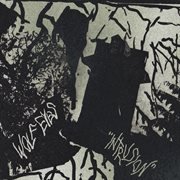 Intrusion cover image cdn