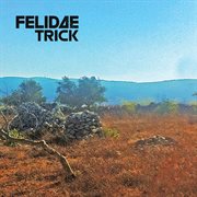 Patrimony cover image cdn