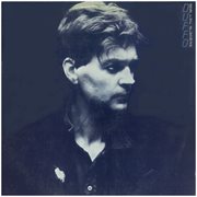 Bob the birdman cover image cdn