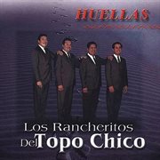 Los rancheritos del topo chico cover image cdn