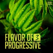 Flavor of progressive 03 cover image cdn