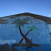 In transit cover image cdn