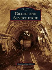 Dillon and Silverthorne cover image cdn