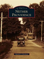 Nether providence cover image cdn
