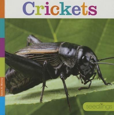 Crickets cover image