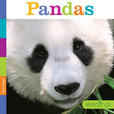 Pandas  cover image cdn